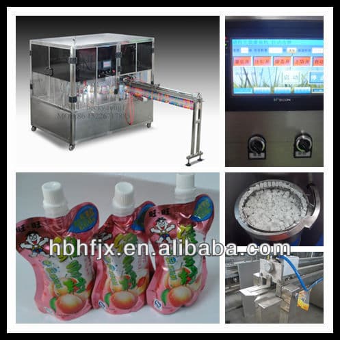 washing liquid with standing pouch filling capping machine